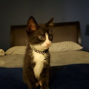 Meet your Posher, Tiffiney